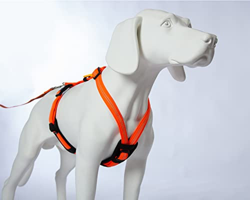 Feltmann Hundegeschirr Mantrailing/Suchgeschirr Profi- Super Soft, Neonorange, reflektierend, Bauchumfang 55-75 cm, 20 mm Bandbreite