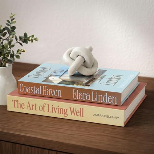 MESMOS Decorative Books for Shelves, Coffee Table Decor Faux Books for Decoration, Works as a Hidden Storage Box, Magnetic Closure, Linen Texture, Packaged in another Aesthetic Fake Book