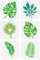 FINGERINSPIRE 6 Stück Tropische Blätter Malschablone 20x20 cm Monstera Ceriman Gummi Gras Palmblatt Sprühschablone PET Pflanzen Themen Sprühschablone Wiederverwendbare Blätter Muster Wandschablone
