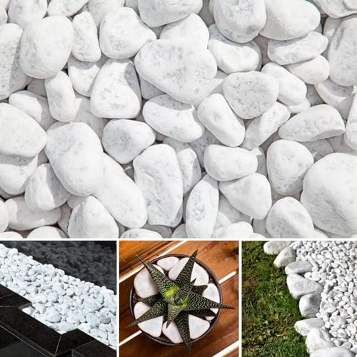 Carrara Decorative Natural Marble SNOW WHITE 20-40mm 20 kg Pure White Pebbles Stones Gravel Chippings Landscape Garden Home (10, Kilograms)