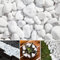 Carrara Decorative Natural Marble SNOW WHITE 20-40mm 20 kg Pure White Pebbles Stones Gravel Chippings Landscape Garden Home (10, Kilograms)