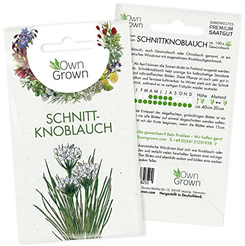 Schnittknoblauch Samen mehrjährig: Schnittknoblauch Pflanze zur Anzucht von 100 Kräuter Pflanzen – Wildkräuter Samen – Samen Kräuter Pflanze OwnGrown