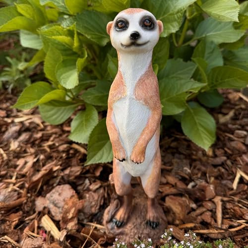 Online Fuchs Erdmännchen Deko Figuren im Set für den Garten - Gartenfiguren wetterfest aus Kunstharz für außen (29 cm)