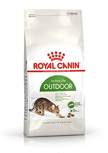 Royal Canin 55177 Outdoor 4 kg - Katzenfutter