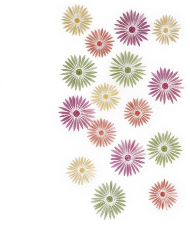 Umbra Wanddeko Blumen Wanddekoration