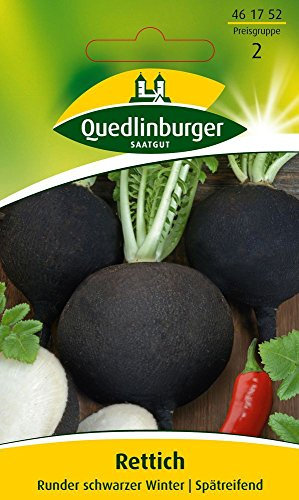 Rettich, Runder schwarzer