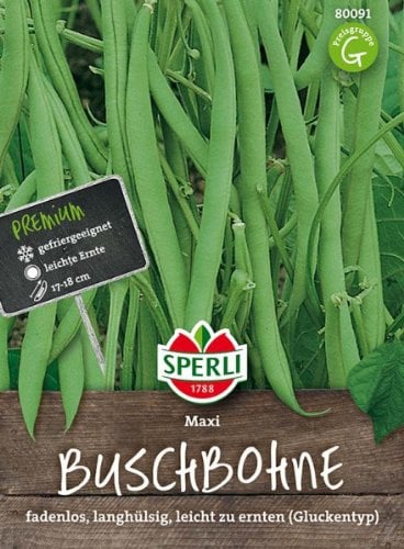 Sperli Buschbohnensamen Maxi 80091, Gemüsesaat | Fadenlose Hülsen, Inhalt für 4-5 laufende Meter, Länge 17-18 cm
