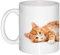 Katzen Tasse mit Spruch Carpe Diem – Katzen Geschenk Kaffeetasse aus Keramik Becher 325ml Tasse Katze Teetasse Spülmaschinengeeignet