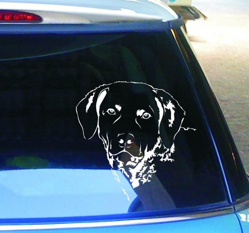 cartattoo4you® AK-00390 | Labrador Kopf | Autoaufkleber Aufkleber Farbe weiß, in 24 Farben erhältlich, glänzend, 24 x 24 cm, Waschstrassenfest