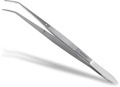 Gebogene Pinzette mit Führungsstift aus rostfreiem Edelstahl, 15 cm