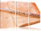 Pixxprint Querflöte, Leinwandbild 3 Teilig, Gesamtmaß: 120x80cm, Wandbild, Dekoration, fertig gespannt, Kein Poster