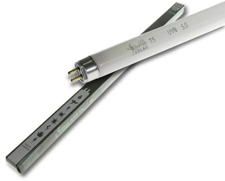 SOLAR RAPTOR T5 UVB Röhre 5.0-54 Watt