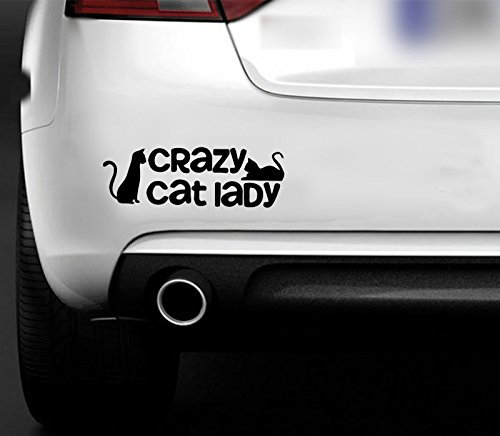Crazy Cat Lady FUNNY CAR VAN STICKER HOBBY CAR BOAT WINDOW VINYL DECAL