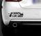 Crazy Cat Lady FUNNY CAR VAN STICKER HOBBY CAR BOAT WINDOW VINYL DECAL