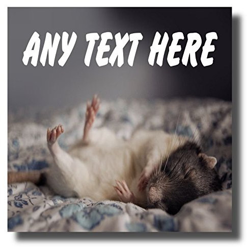 Sleeping Mouse Personalised Drinks Mat Coaster