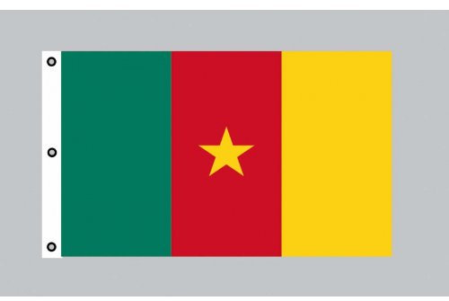 Everflag Riesen-Flagge: Kamerun 150cm x 250cm
