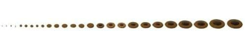 GEWA Complete cushion set for alto saxophone