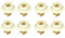 Zanussi 50279059005 Lavastoviglie Accessori Lavastoviglie Cestelli MGD/AEG Electrolux Zanussi Blanco Lavastoviglie Kit Rotella Cestello Inferiore