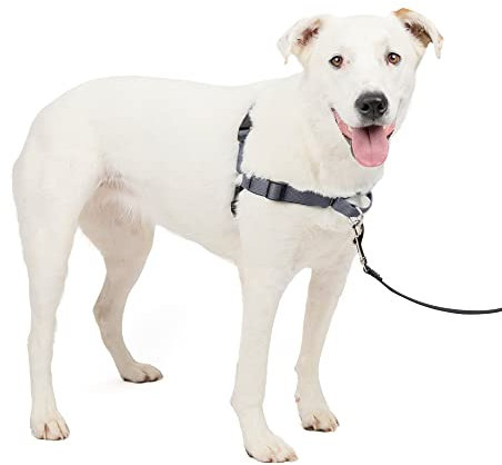 PetSafe Deluxe Easy Walk Hundegeschirr