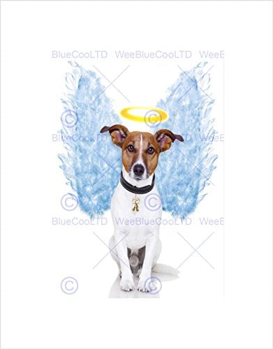 ANGEL WINGS JACK RUSSELL DOG HALO BLACK FRAME FRAMED ART PRINT PICTURE B12X9051