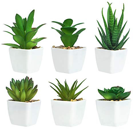 Ouddy Daily 6 Piezas de Plantas Suculentas Artificiales en Macetas, Plantas Suculentas Artificiales Verdes, Utilizadas para Escritorio, Oficina, Sala de Estar y Decoración del Hogar
