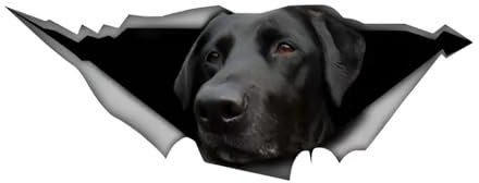 Autoaufkleber Labrador Lustig Dekor Aufkleber 15cm(5.9 Inch) Schwarzer Labrador Reflektierende Aufkleber 3D Zerrissen Autoaufkleber Personalisieren Haustier Hund Aufkleber Dekor