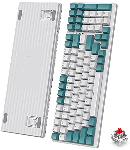 ZIYOU LANG K3 Wired 100% Mechanical Gaming Keyboard, Red Switch Green | LED Rainbow Backlit, 100 Keys with Numeric Keypad, Linear Switches, Anti-Ghosting Computer Keyboard, Metal Panel, for Mac/Win