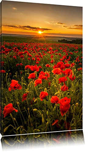 Pixxprint Wunderschöne Mohnwiese im Sonnenuntergang, Größe: 60x40cm, Leinwandbild, fertig gespannt, Wandbild, Dekoration, Kunstdruck, kein Poster