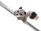 MagNICI Waschbär Lenno 12cm grau - Kuscheltier mit Magnet – Magnettier für Kühlschrank, Tafel, Metall & vieles mehr