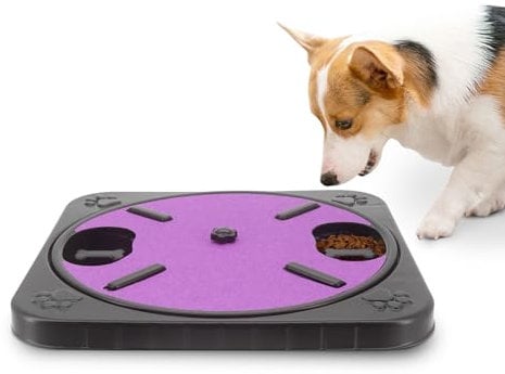 Beowanzk Dog Nail File Board (Built-in Compartments for Dog Food), Dog Nail Scratchboard, Dog Nail File Replacement Dog Nail Clippers and Dog Nail Grinders (Purple)