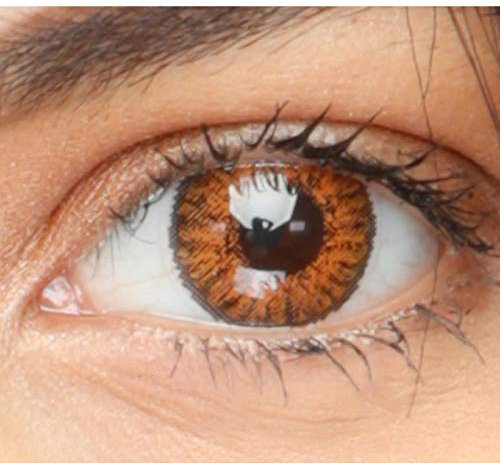 Adageno® – Natural Color Lenses (Weiche farbige Kontaktlinsen ohne Stärke) inkl. Kontaktlinsenbehälter & Pinzette I 1 Paar Kontaktlinsen weich (2 Stück) (Honey, 14.5mm, 0)