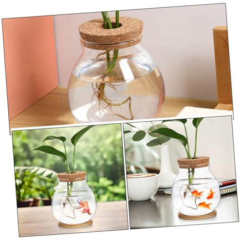TOYANDONA Vase De Plantation Hydroponique Verre Transparent avec Plateau pour Bureau Maison Ou Jardin pour Fleurs Et Plantes