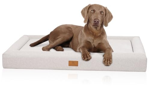 Knuffelwuff orthopädisches Hundebett TIVA XXL 120 x 80cm Beige | Easy Clean Stoff wasserabweisend | Memory Foam Matratze | waschbar 30 °C | flaches Design gelenkschonend | kleine bis große Hunde