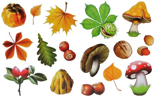 alles-meine.de GmbH 8 Stück: Fensterbilder Herbst - Blätter Pilze Kastanien und Herbstfrüchte - Sticker statisch haftend wiederverwendbar Fenstersticker Aufkleber selbstklebe..