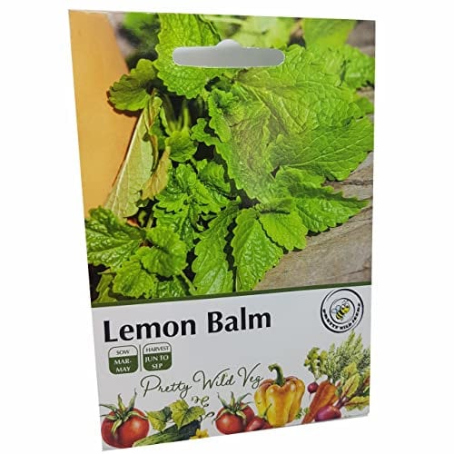 Lemon Balm Seeds Vegetable Fruit Seeds Veg Seeds Cabbage Carrot Sweetcorn Tomato Strawberry (Lemon Balm)
