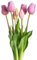 Botanic-Haus künstliches Tulpenbündel/künstlicher Tulpenbund Sandy lang mit 4 Tulpen und 3 Tulpenknospen Farbe: Mauve „real Touch“