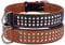 CollarDirect Hundehalsband mit Nieten, Leder, für kleine und mittelgroße Welpen, weich gepolstert, Braun/Schwarz (Schwarz, 50-55 cm)
