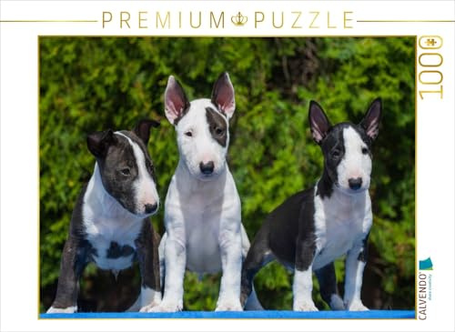 CALVENDO Puzzle Bullterrier | 1000 Teile Lege-Größe 64 x 48 cm Foto-Puzzle für glückliche Stunden