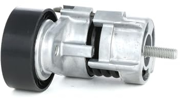 RIDEX 310T0019 Spannrolle Keilrippenriemen Kompatibel mit BMW 3 Touring E91 11287524267 11281440377 11287516897