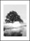 STYLER Gerahmtes Bild Foggy Tree 50 x 70 cm I Schwarz-Weiß Fotografie Baum im Nebel minimalistisch modern I Wandbild Wohnzimmer Schlafzimmer Büro I Wanddeko Naturstil Bild mit schwarzem Rahmen