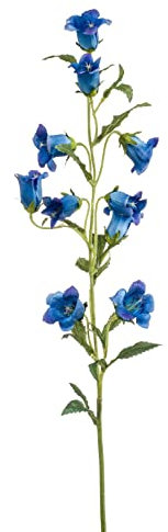 artplants.de False bellflower DAIKI, blue, 90 cm - Artificial Bellflower