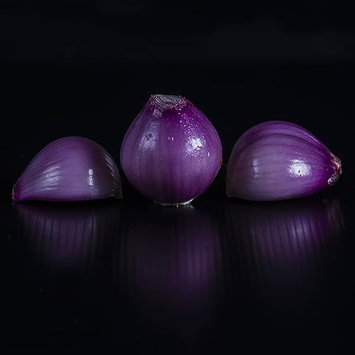 20 piezas de semillas de cebolla resistentes - plantas de hierbas bonsai olla semillas de cebolla, Allium cepa, semillas de hortalizas robustas plantas de balcon resistentes hierbas de
