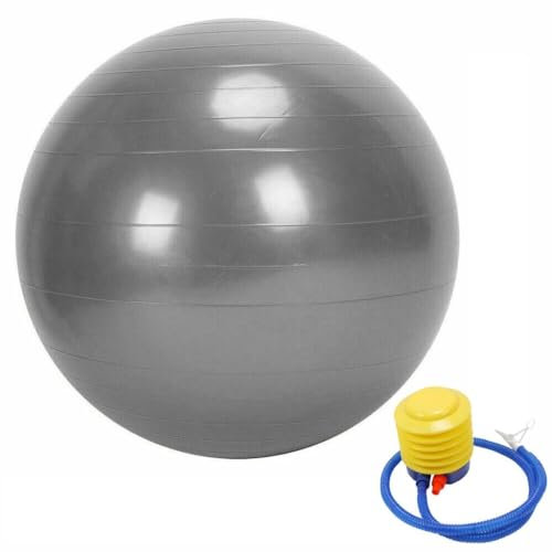 Haadi Traders Gym Ball Exercise Fitness Yoga Pregnancy Birthing Ball Anti Burst 55cm 65cm with Pump…Excercise Body Ball (65CM)