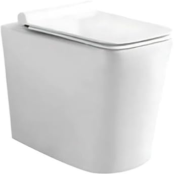 Barbottina Vaso wc a terra filo parete in ceramica bianca serie pluma con sistema rimfree