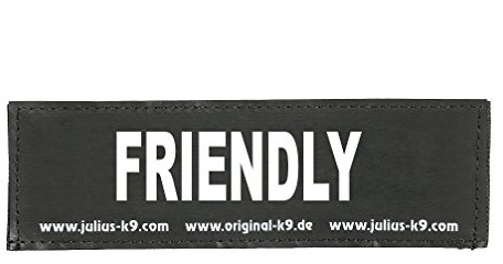 Interchangeable Patches, 1 pair, FRIENDLY, Size: Small, Black