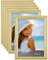 Icona Bay 7x5 Bilderrahmen (Gold, 6er Pack) Wunderschön detailliertes Formteil, Zeitgenössisches Bilderrahmenset, Wandhalterung oder Tischplatte, Inspirations Collection