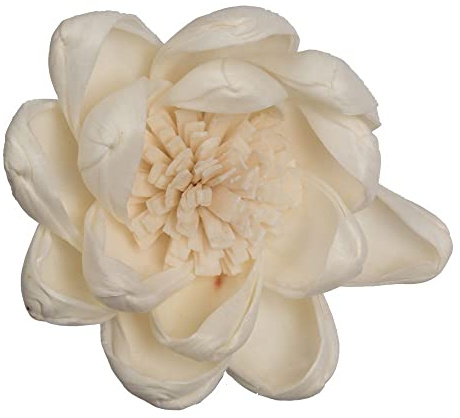Vickerman 686416-1-3 Assorted Crocus Sola Head 24/bg (H7SFL060) Dried and Preserved Flowers