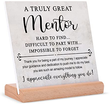 Afterprints Mentor Geschenke für Frauen und Männer, Dankeschön-Schild, Plakette mit Ständer, Abschied, Ruhestand, Wertschätzung, Chef, Kollegen, Lehrer, Berater, Vorgesetzte, Grau – Mentor Geschenk