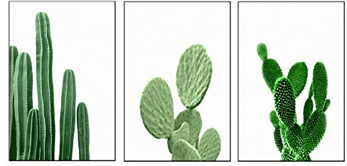 Nicfaky Kunstdrucke auf Leinwand, Motiv: grüner Kaktus, 40 x 50 cm, 3 Stück, modern, rahmenlos, für Büro und Zuhause