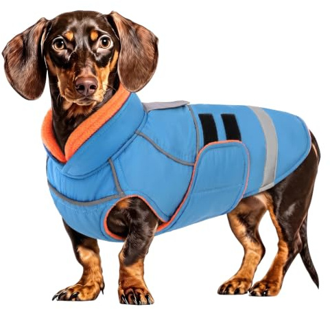 CITÉTOILE Wasserdichter Hundemantel mit Leinenöffnung Blau M | Zweifarbige Hundejacke mit Klettverschluss, Warm Winter Hundekleidung mit Reflektoren, Wintermantel mit Bauchschutz für Hunde